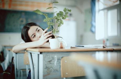 最后的灿烂(图1)