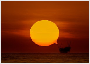 爱情优美的段落摘抄