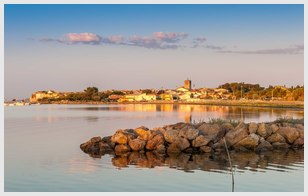 爱情优美的段落摘抄