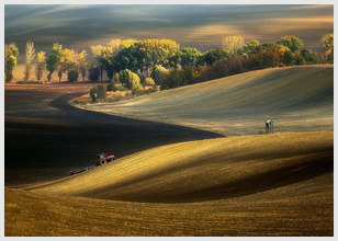 最好朋友领证结婚的祝福一句话，爱情短句文案一句话