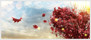 陌陌爱情语录/爱情短句文案语录