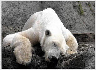 给对象留言的甜甜小句子 爱情短句句子短语