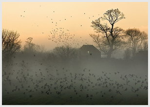 适合情侣安慰彼此的文案，爱情短句文案句子