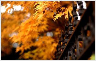 很丧却无关爱情的文案 伤感短句文案 很丧却无关爱情的文案 伤感短句文案