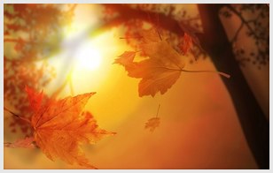 新婚祝福语简短创意好听/爱情短句创意文案 新婚祝福语简短创意好听/爱情短句创意文案