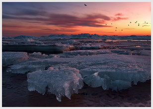 2021双十一光棍节表白必成功的文案:爱情短句文案句子 2021双十一光棍节表白必成功的文案:爱情短句文案句子