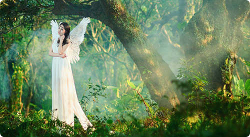 做一个天使（目送一群白色的鸟从天上飞过）