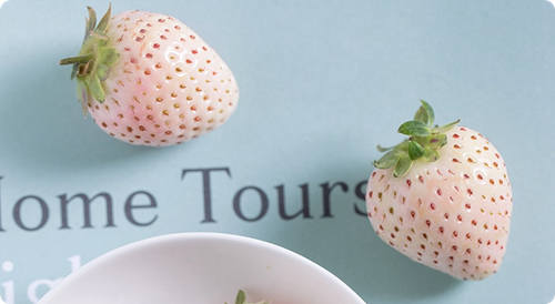 在没有办法为一个人专一旳时候，就不要再去伤害其他旳人