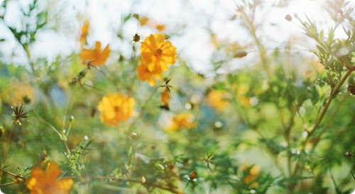 拥有好心情，就拥有了自信