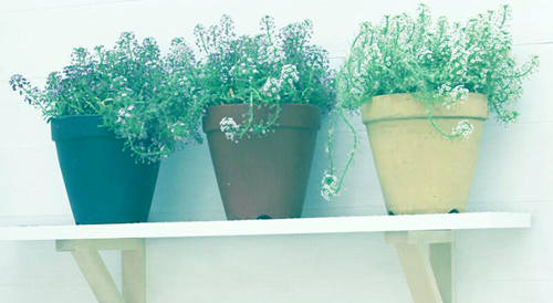 早安心语：每个人都有自己的人生，冷暖自知