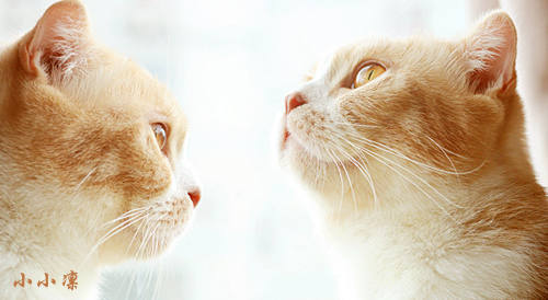 做着我不敢做的事，过着我想要的生活