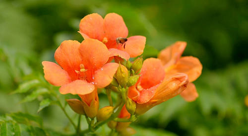 和你在一起只是我不想给任何人机会