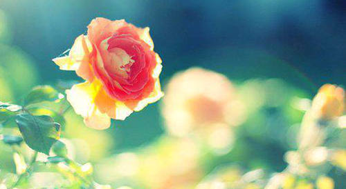 真正的爱情，不是一见钟情，而是日久生情