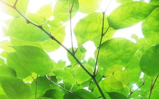 现实又很扎心的句子-一段很现实的话(图1)